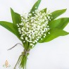Pakalnutė, aromatinis aliejus
