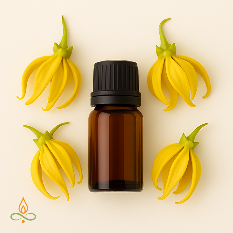 Ylang-ylang, eterinis aliejus